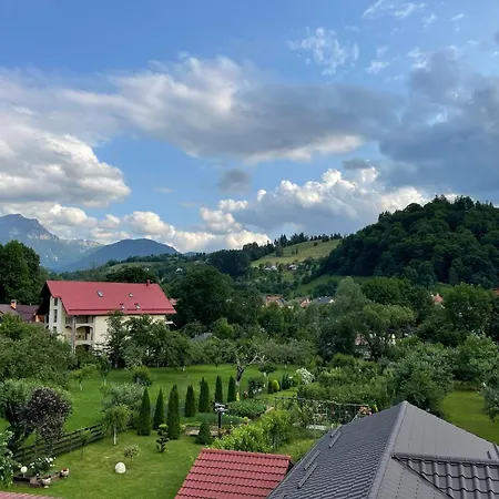 Homestay szállás Casuta Cu Dumbrava